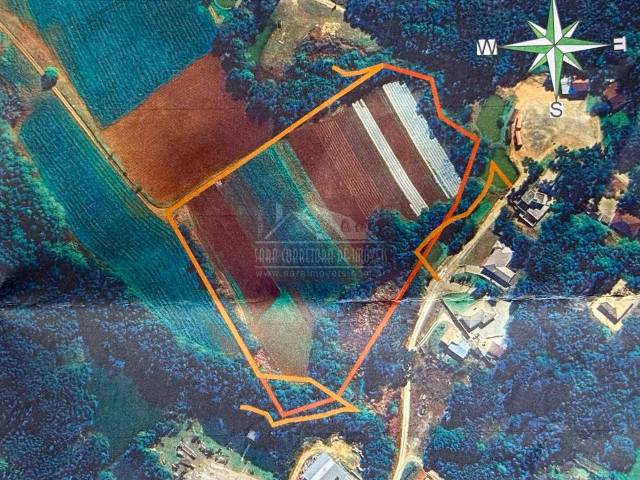 #703 - Área para Venda em Colombo - PR