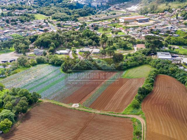 Área para Venda em Colombo - 4