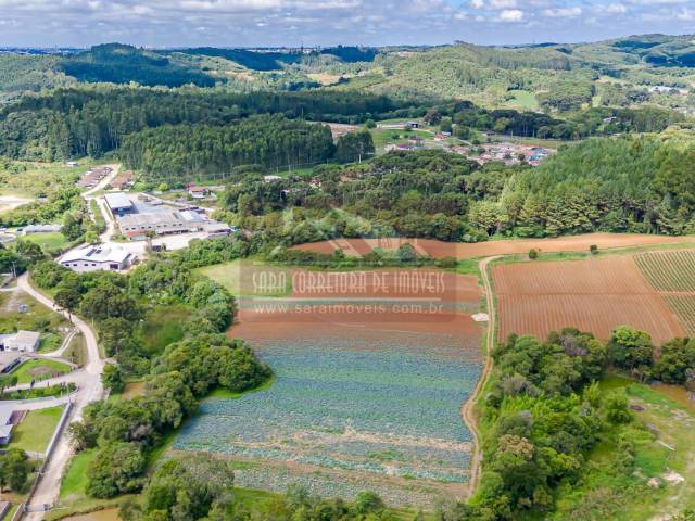 #703 - Área para Venda em Colombo - PR