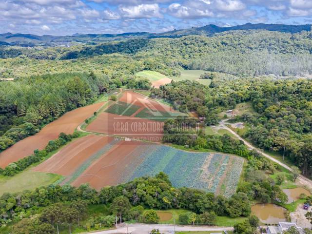 #703 - Área para Venda em Colombo - PR