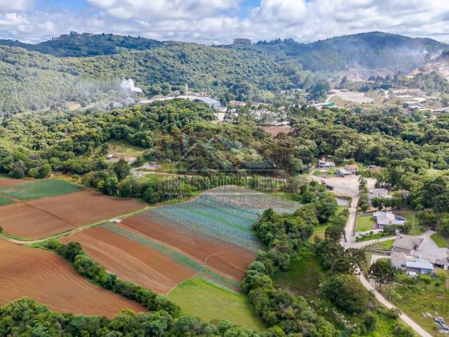 Área para Venda em Colombo - 5