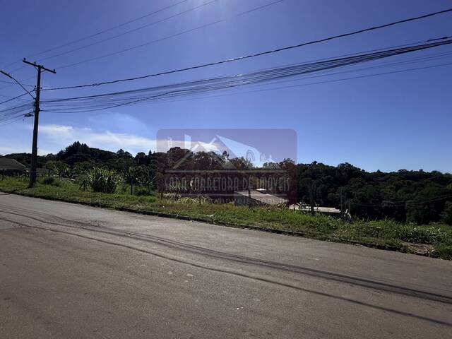 #717 - Terreno para Venda em Colombo - PR - 2