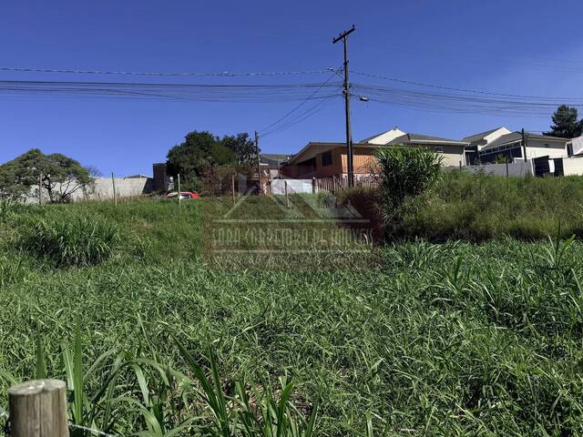 #717 - Terreno para Venda em Colombo - PR - 3