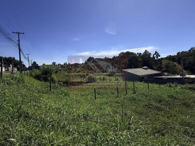 Terreno para Venda em Colombo - 4