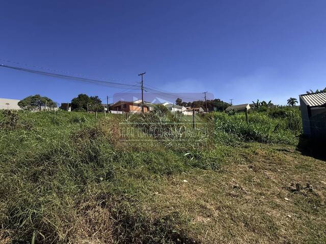 #718 - Área para Venda em Colombo - PR - 1