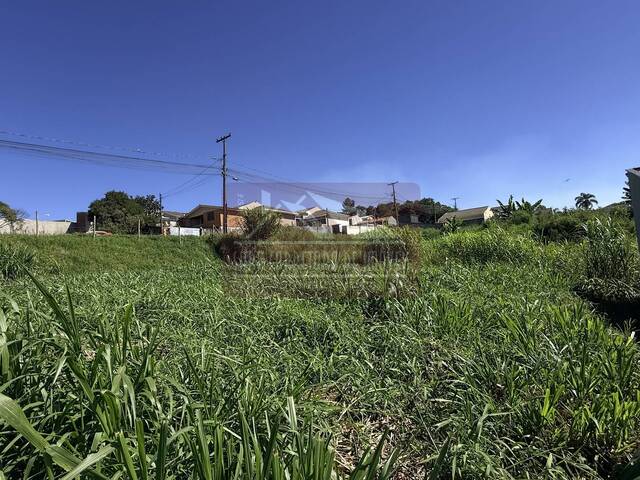 #718 - Área para Venda em Colombo - PR - 2