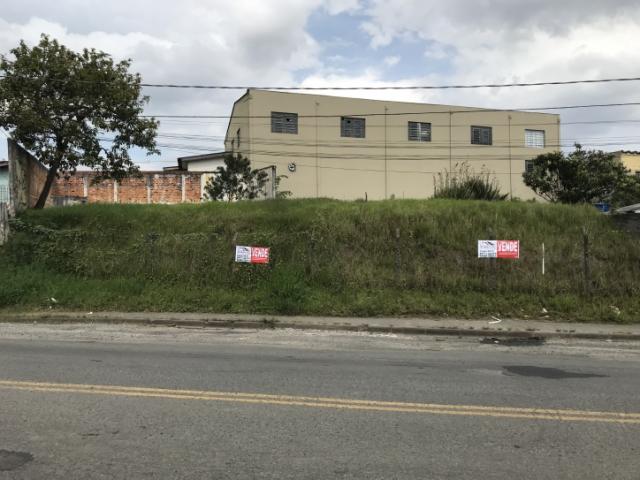 Área para Venda em Colombo - 5