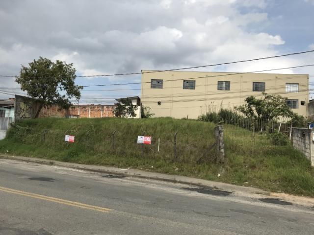 Área para Venda em Colombo - 4