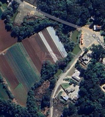 Terreno, 2 hectares - Foto 2