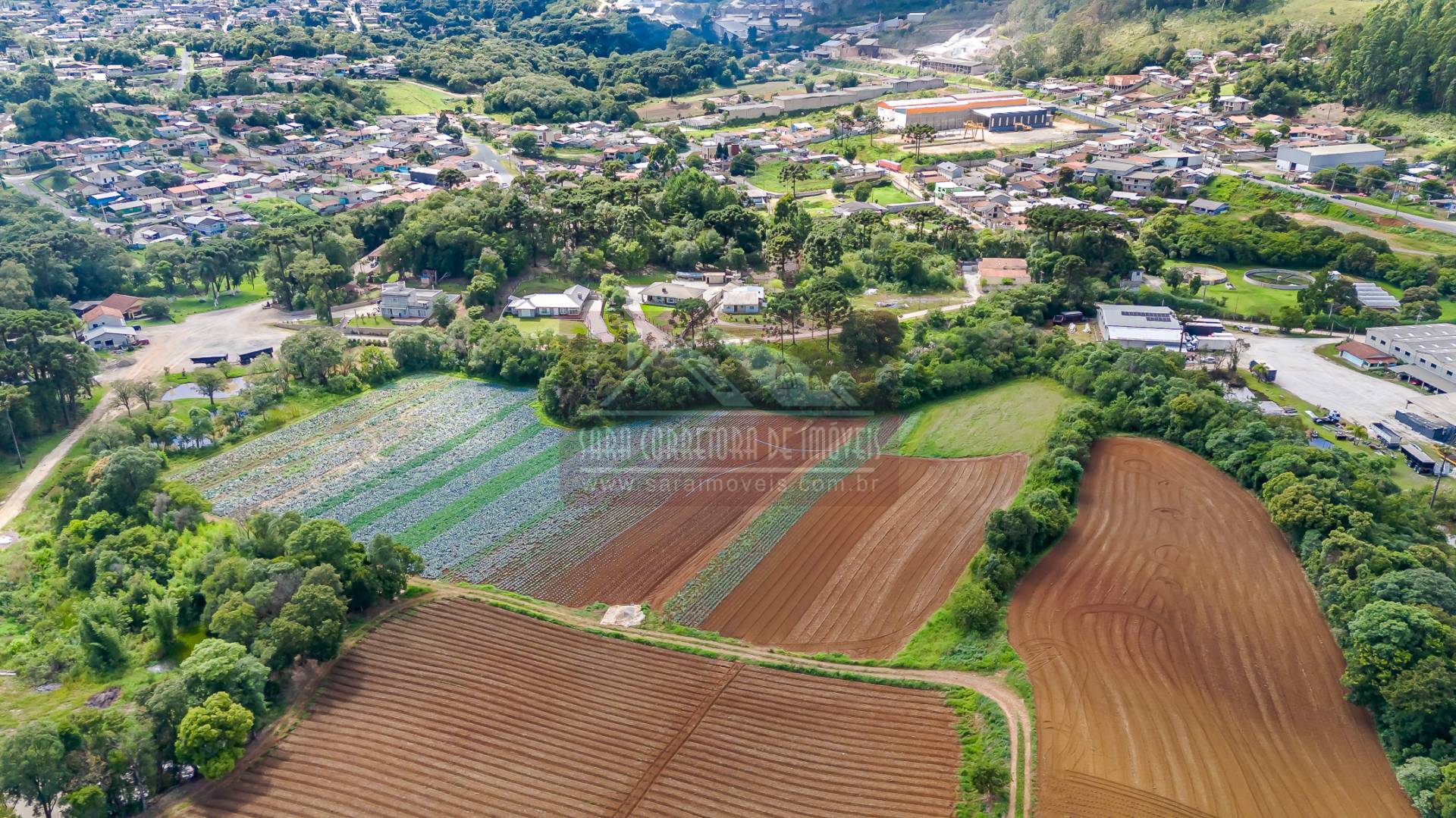 Terreno, 2 hectares - Foto 4