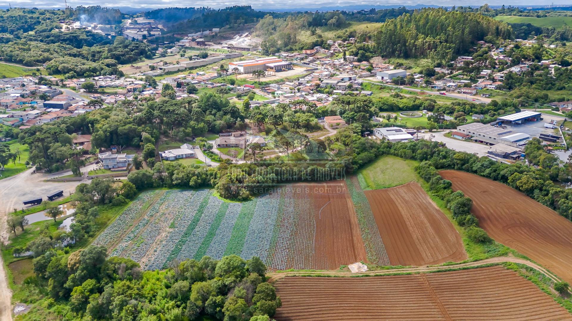 Terreno, 2 hectares - Foto 6