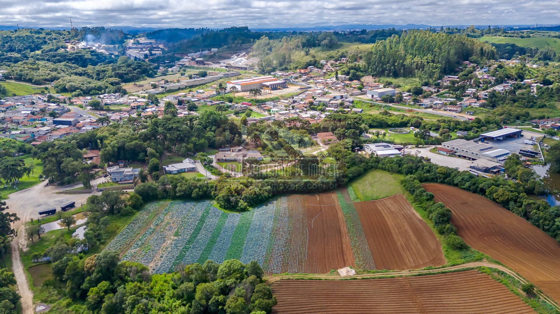 Terreno, 2 hectares - Foto 7