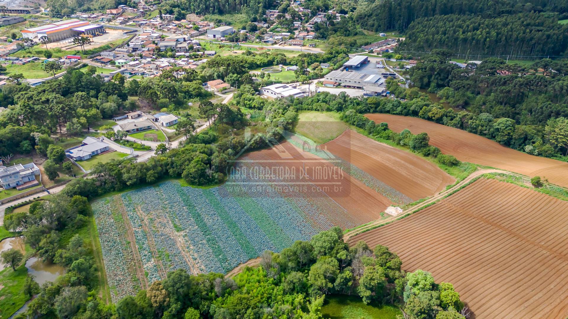 Terreno, 2 hectares - Foto 8