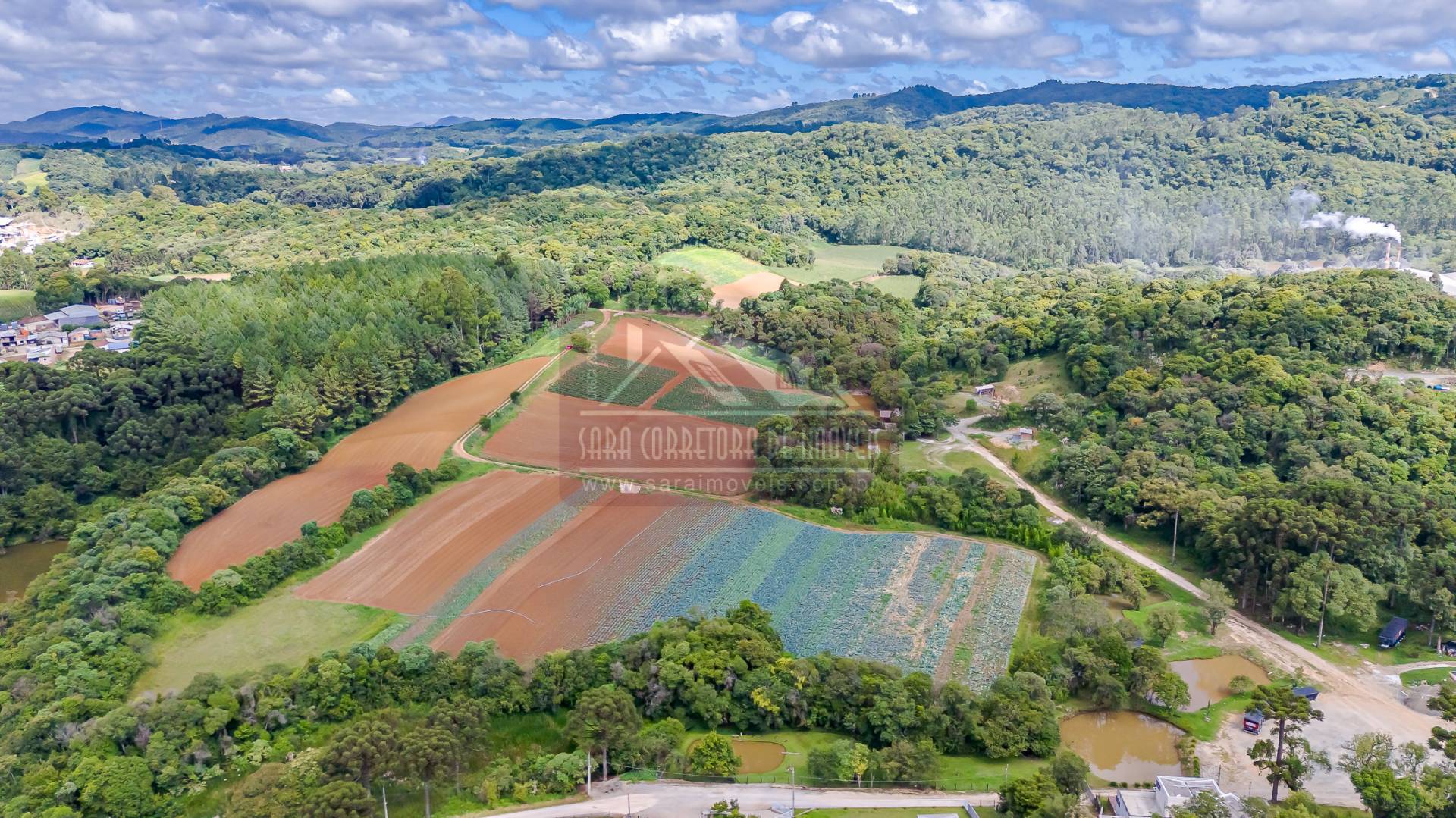 Terreno, 2 hectares - Foto 2