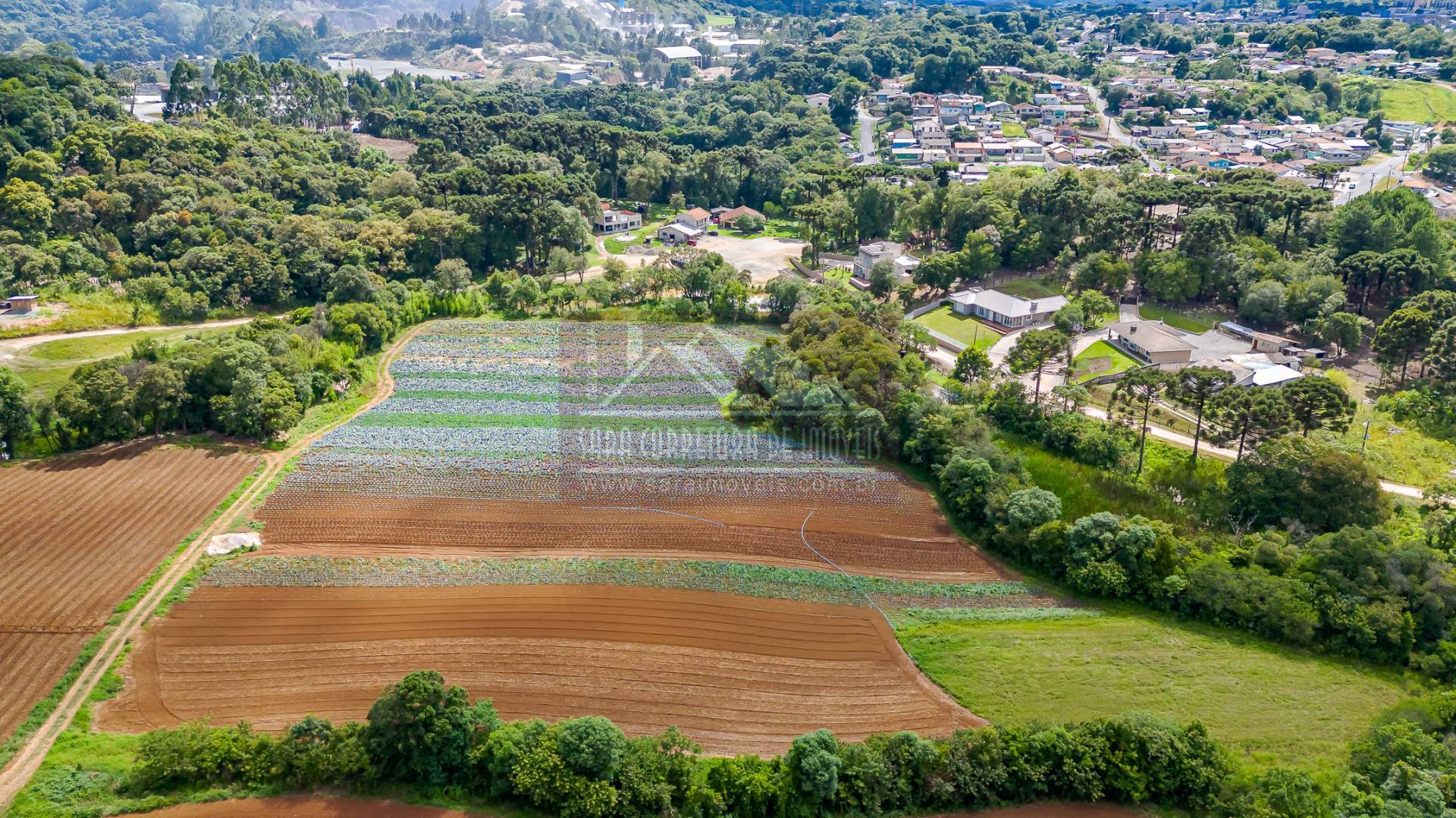 Terreno, 2 hectares - Foto 20
