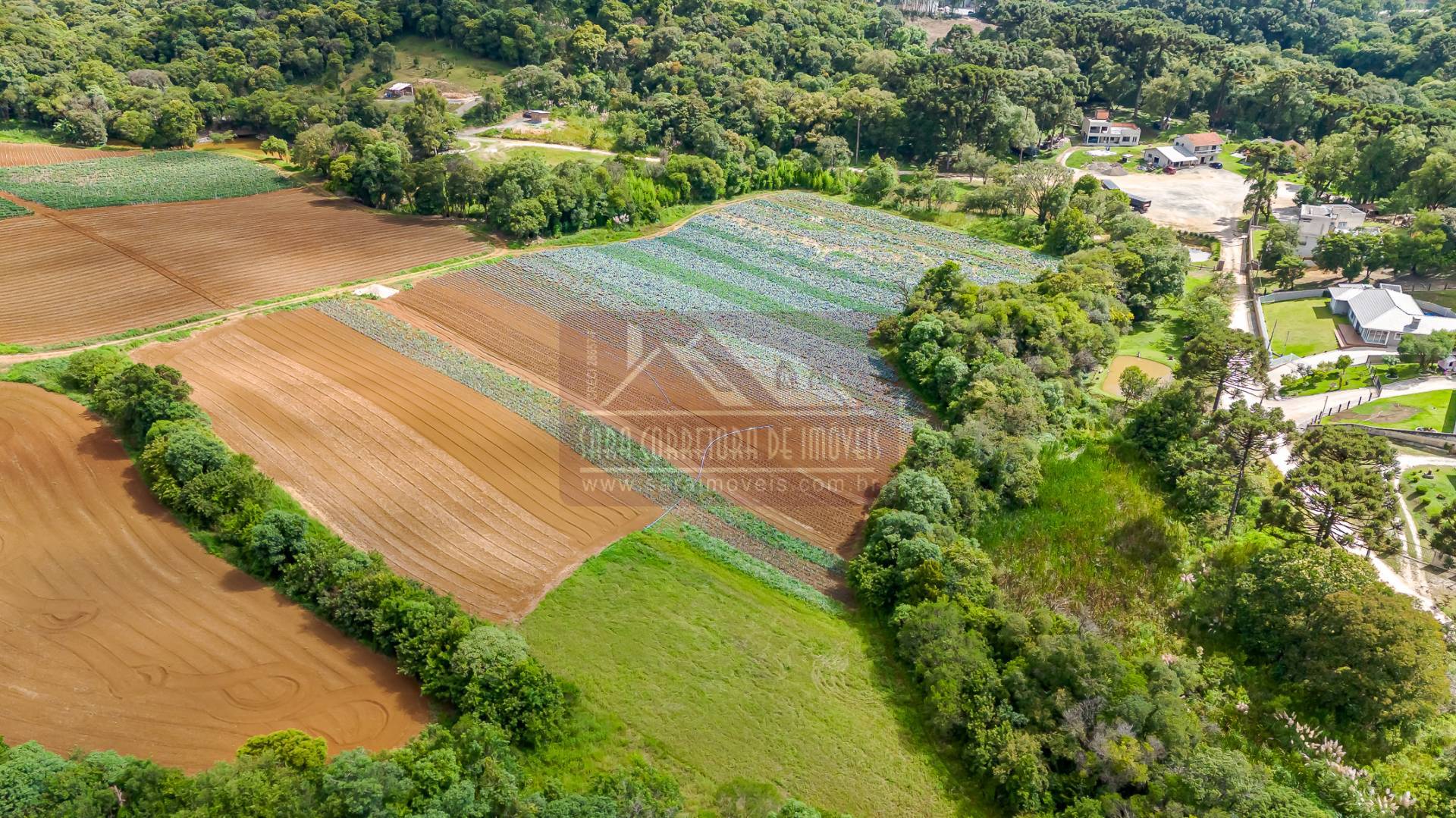 Terreno, 2 hectares - Foto 21