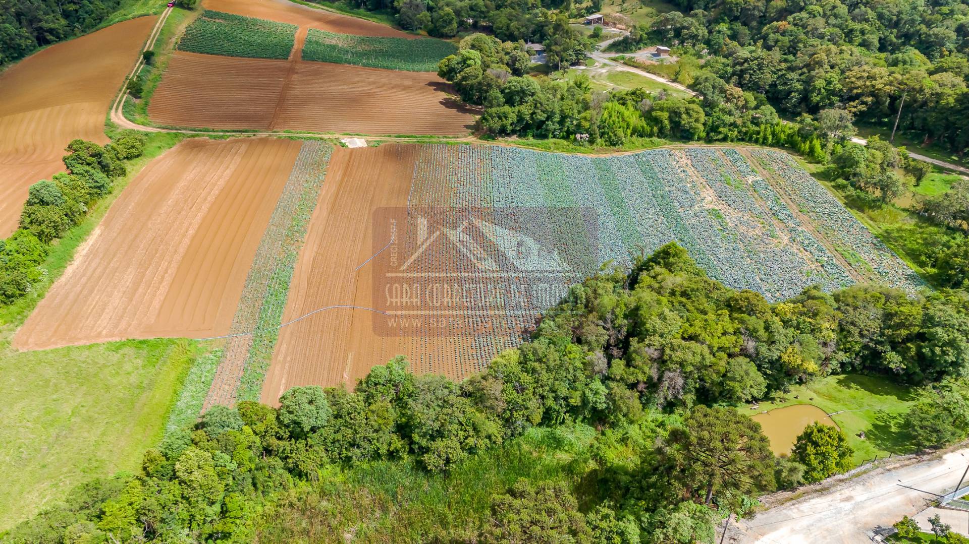 Terreno, 2 hectares - Foto 22