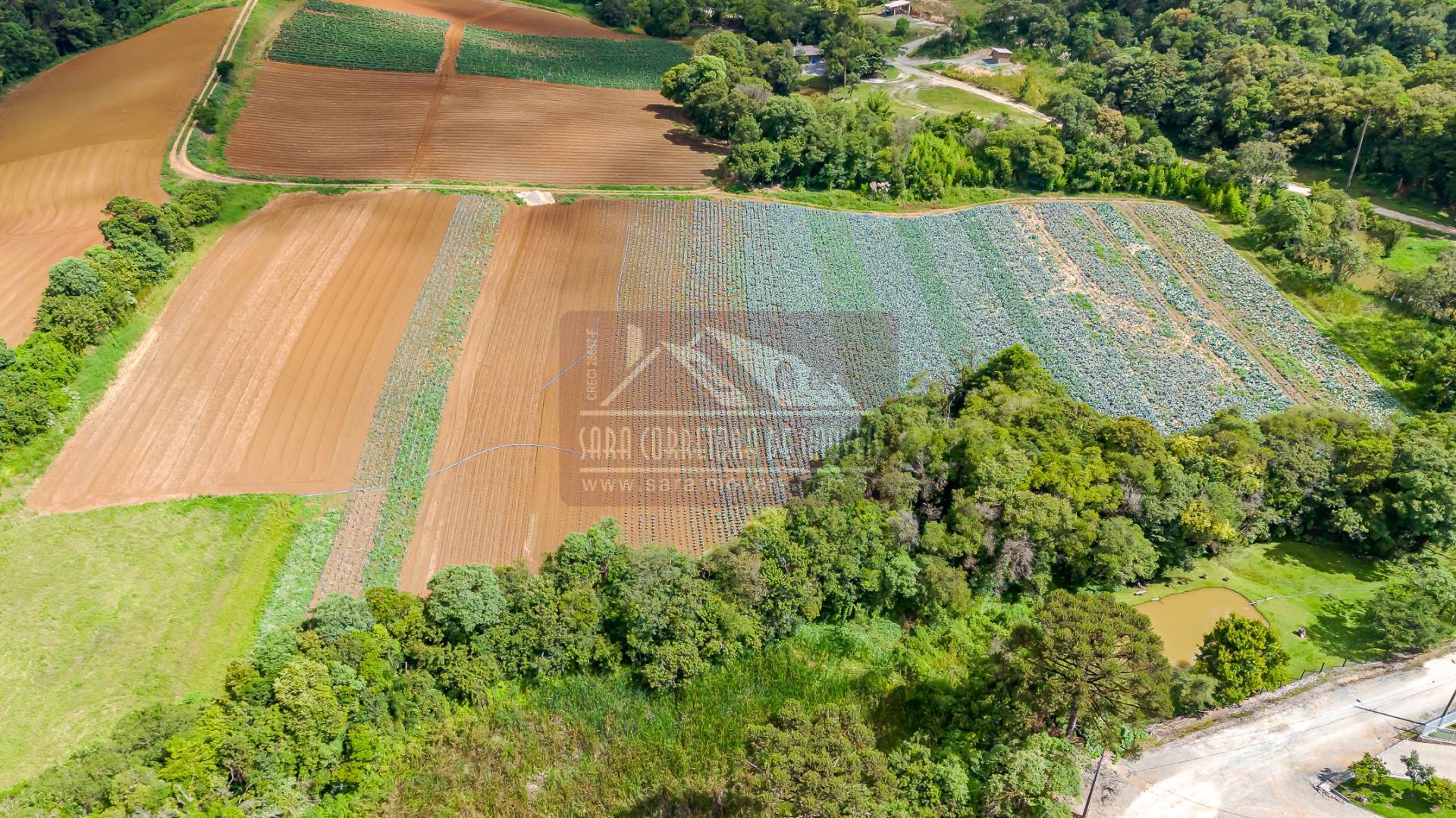 Terreno, 2 hectares - Foto 23