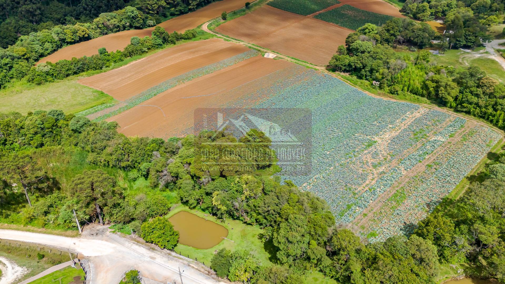 Terreno, 2 hectares - Foto 24