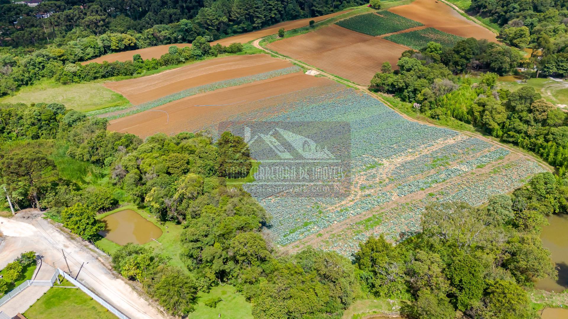 Terreno, 2 hectares - Foto 25