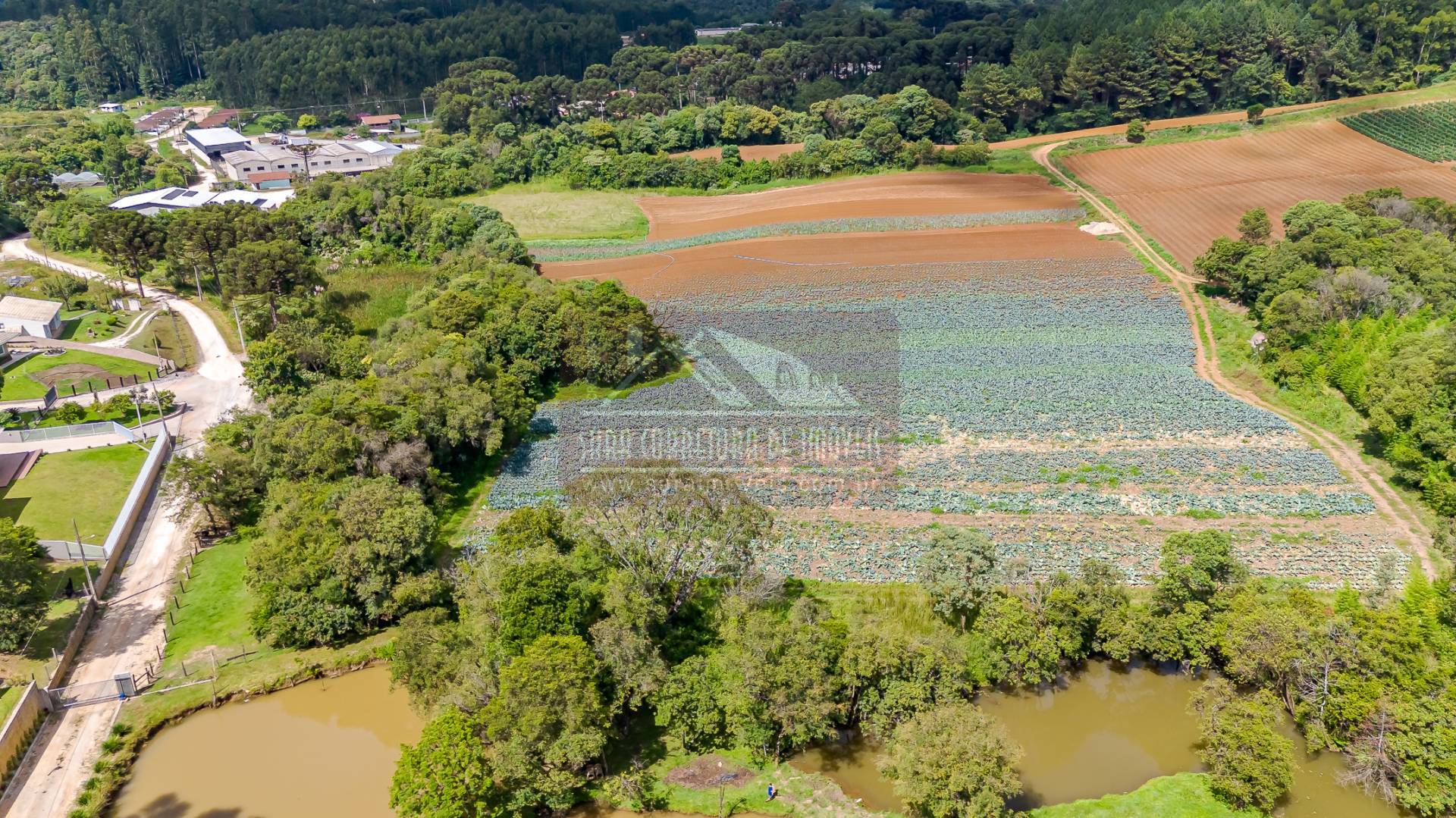 Terreno, 2 hectares - Foto 26