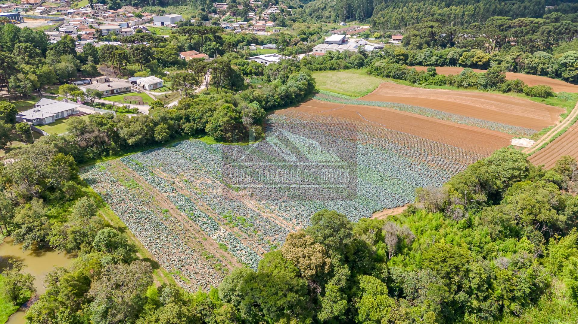 Terreno, 2 hectares - Foto 28