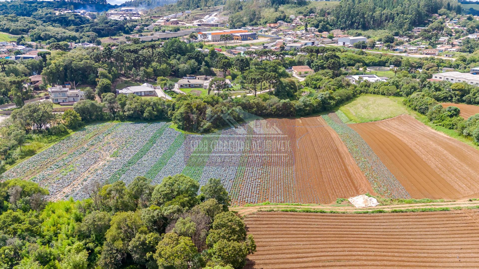 Terreno, 2 hectares - Foto 29