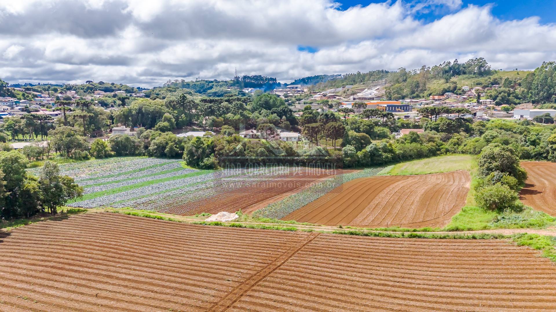 Terreno, 2 hectares - Foto 32