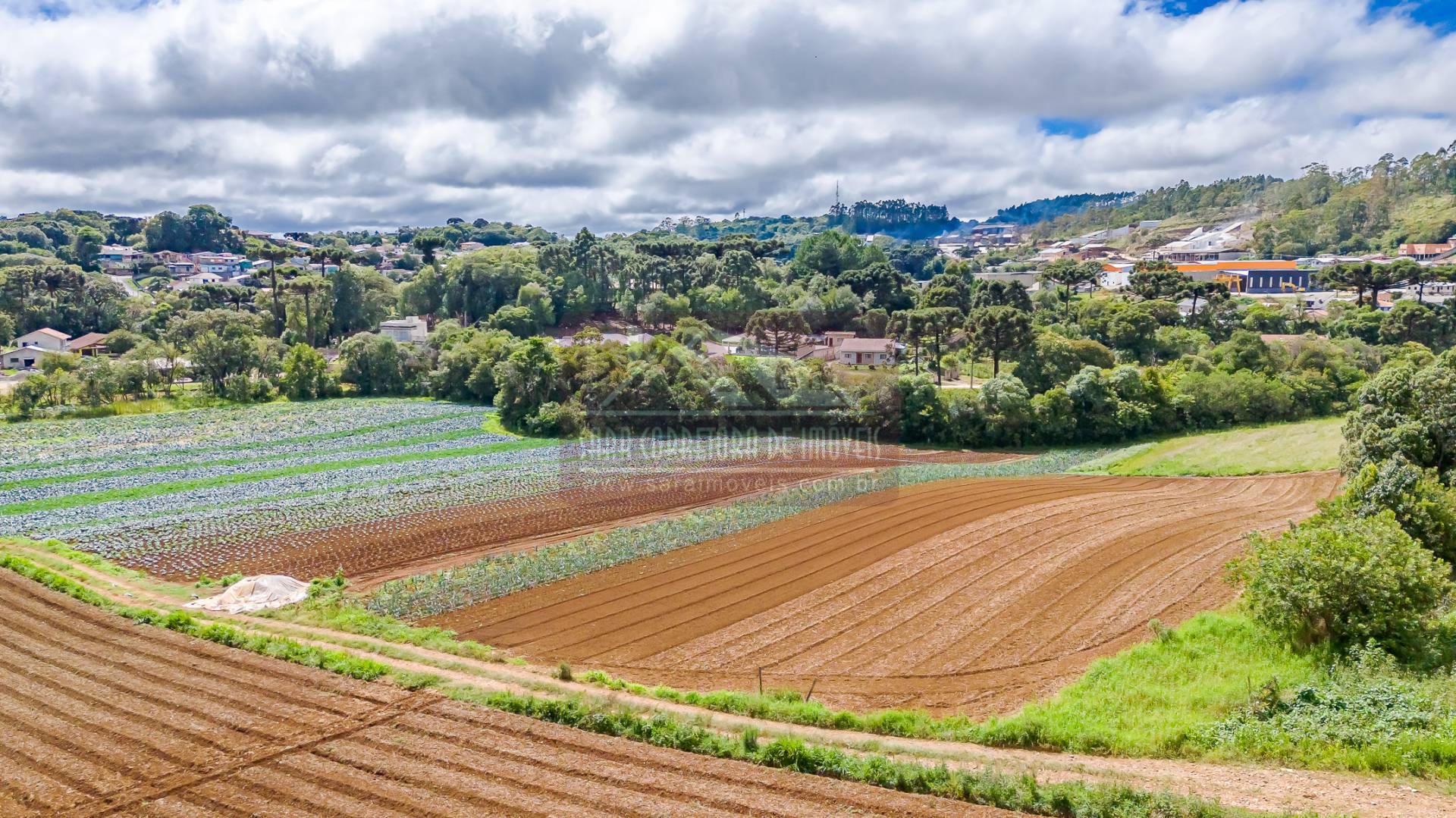 Terreno, 2 hectares - Foto 33