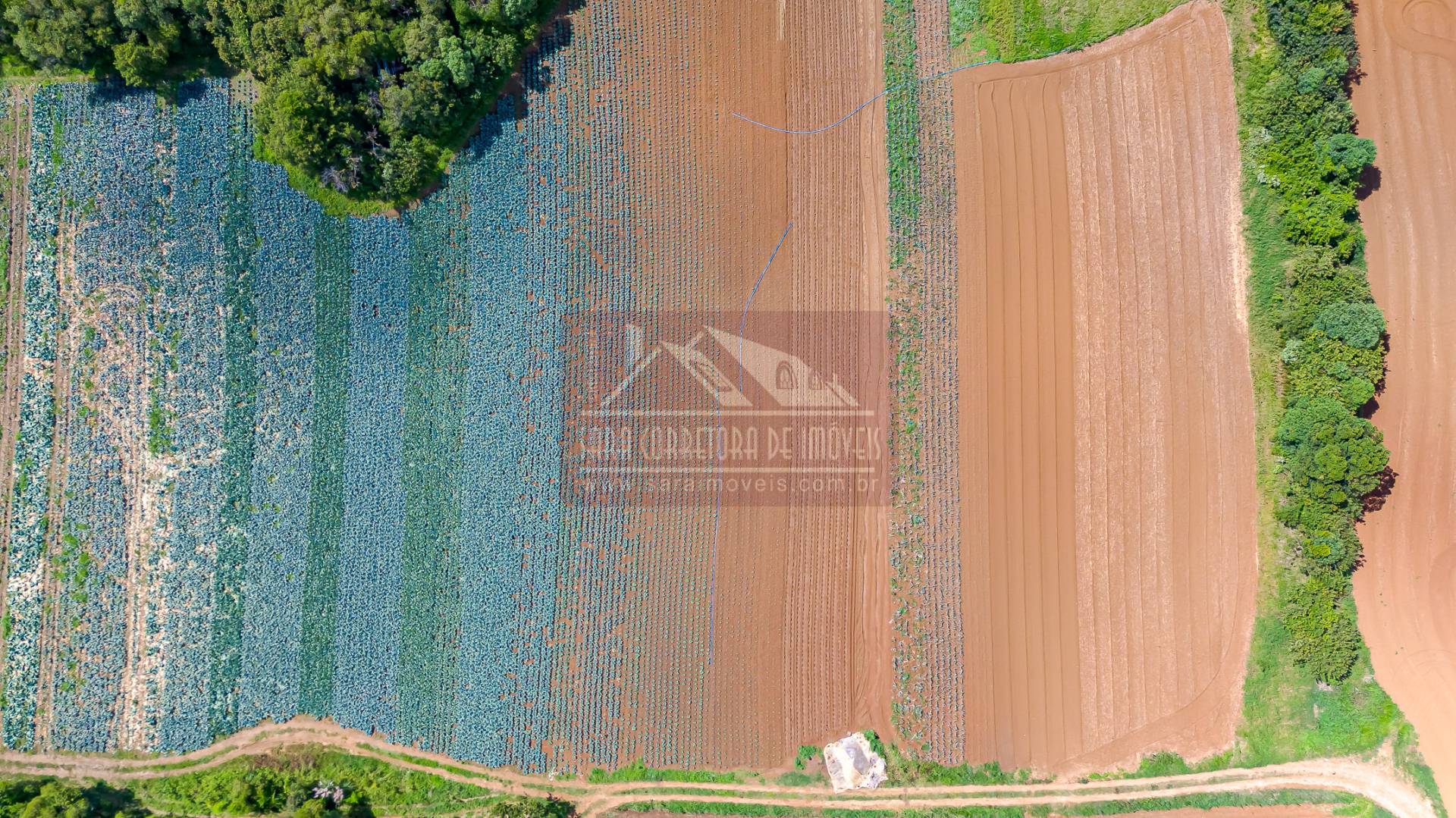 Terreno, 2 hectares - Foto 34