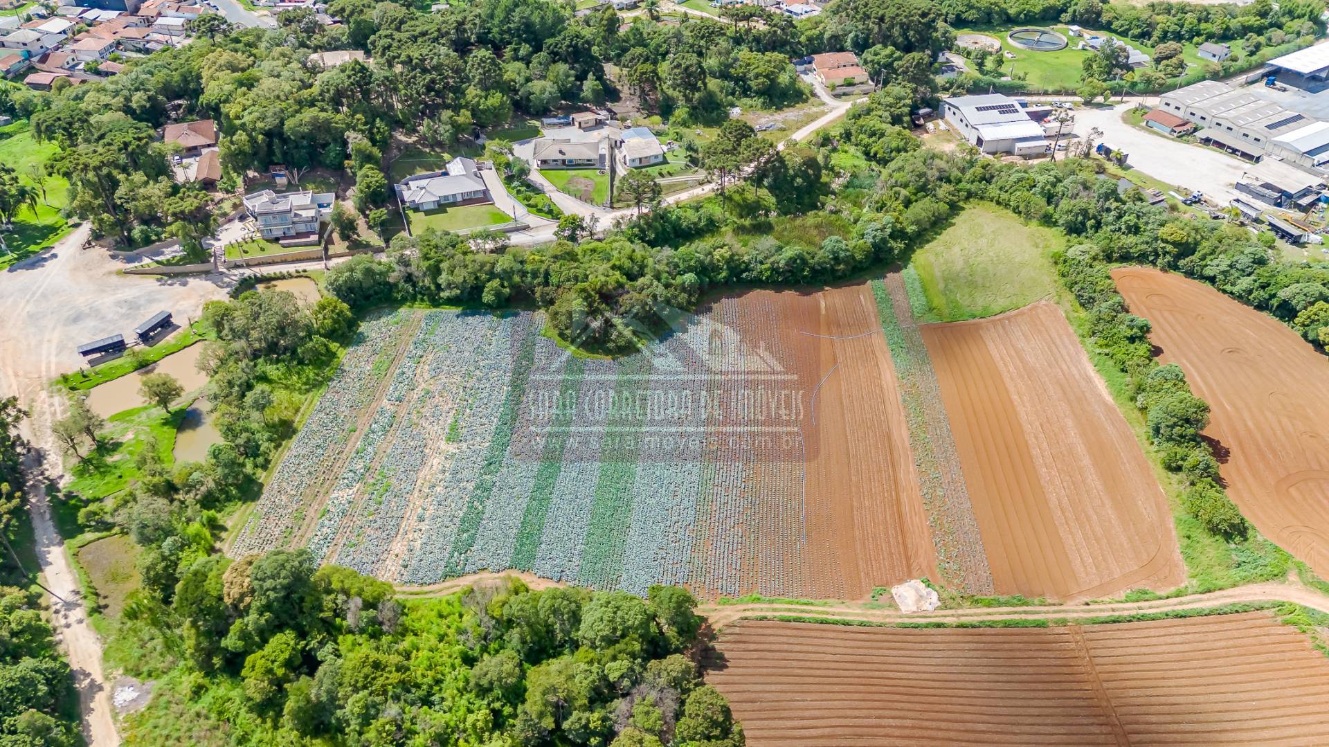 Terreno, 2 hectares - Foto 13